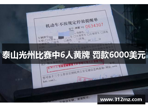 泰山光州比赛中6人黄牌 罚款6000美元